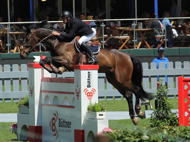 丰富经验 丰富经验