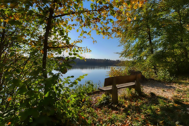 家队的角色 家队的角色