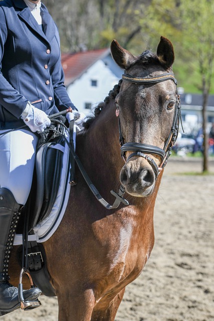 采访时特别 采访时特别