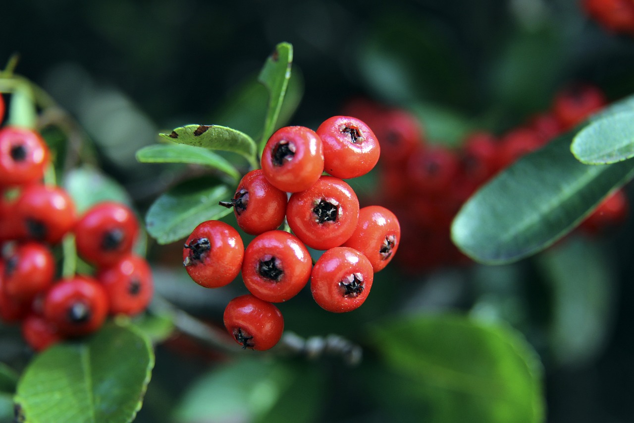 开一套系统 开一套系统