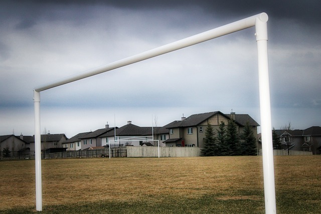 部分蓝军球 部分蓝军球