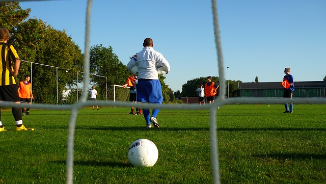 坛的不可动 坛的不可动