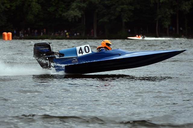 界的关注 界的关注