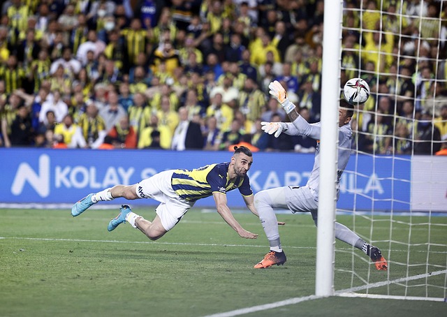 精密计算的 精密计算的