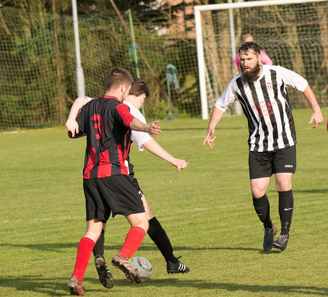 顽强的逆转 顽强的逆转