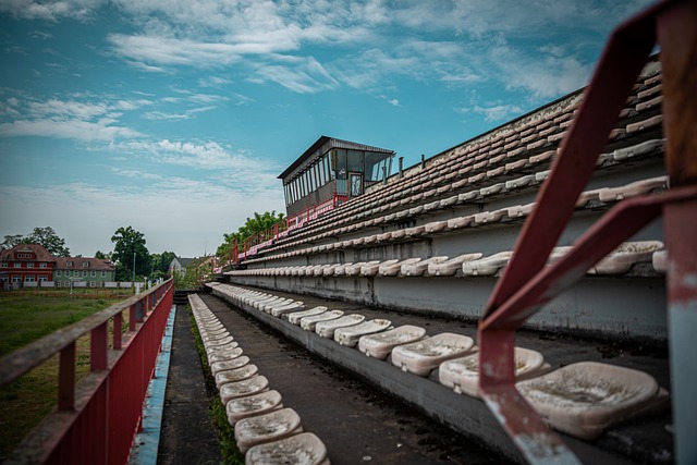 创造历史！中国队首夺钢架雪车世界杯混合团体冠军.
