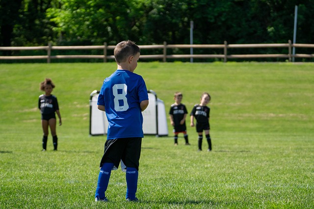 了他卓越的 了他卓越的