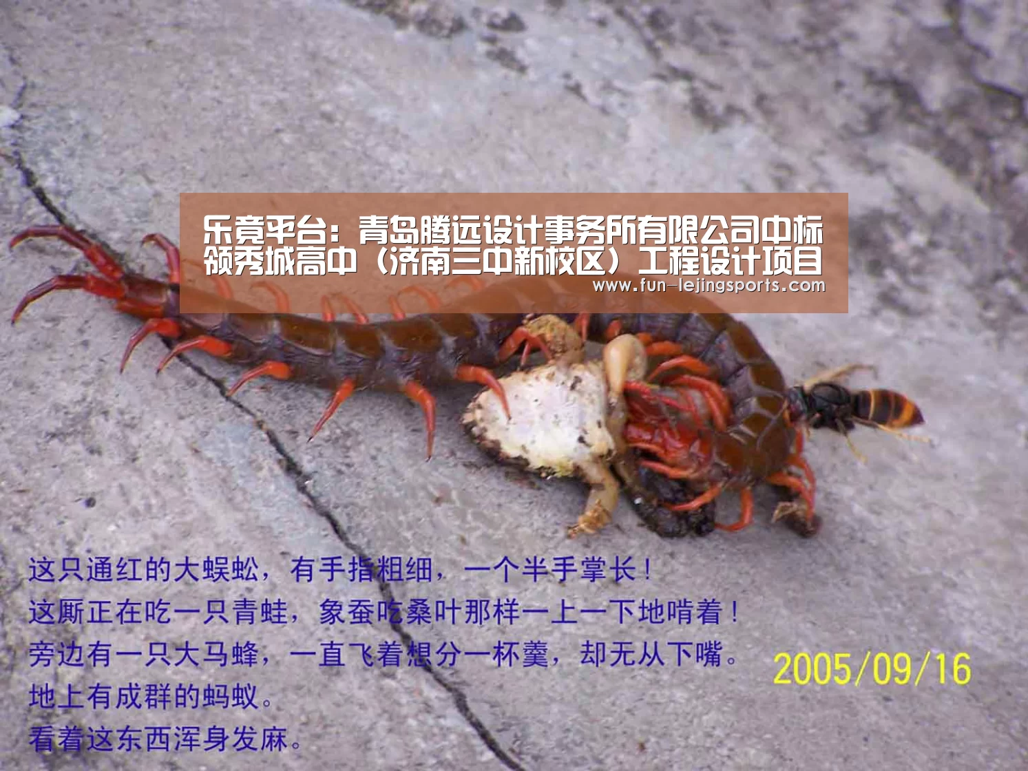 乐竟平台
